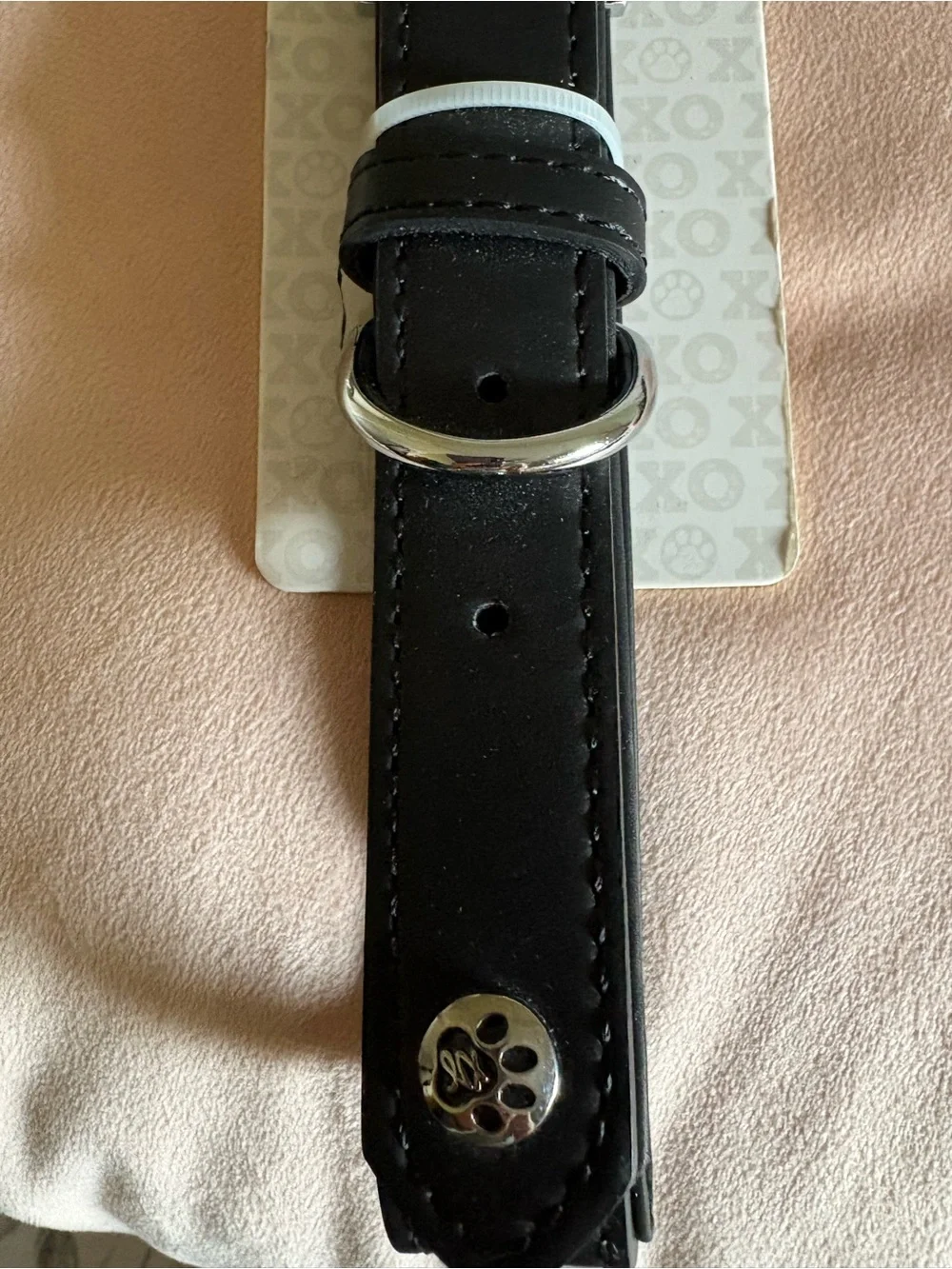 Signature Black Dog Collar with Silver Paw Accent